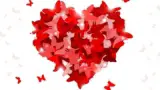 Falling In Love With Life
