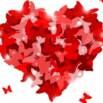 Falling In Love With Life