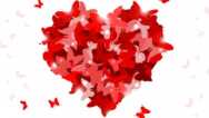 Falling In Love With Life