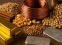 Financial Services: Overview of Commodities