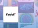 Flourish Studio Masterclass : Create Animated Visualizations