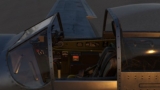 Flying the P-51D Mustang.