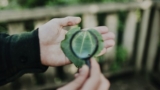 Focus Toolkit