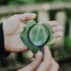 Focus Toolkit