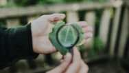 Focus Toolkit