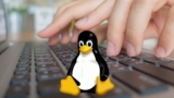 Free Bash Shell Tutorial – Bash – Linux Command From Scratch