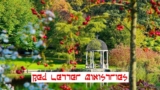 Free Christianity Tutorial – Love Glory Revival: Stage 2 – Red Letter Ministries