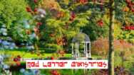 Free Christianity Tutorial – Love Glory Revival: Stage 2 – Red Letter Ministries