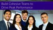 Free Communication Skills Tutorial – Build Cohesive Teams to Drive Peak Performance