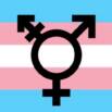 Free Gender Equality Tutorial – A Beginner’s Guide to Trans 101