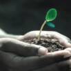 Free Life Coaching Tutorial – Life Coaching For Everyone – An Introduction Course