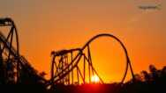 Free Motivation Tutorial – The Entrepreneur Roller Coaster