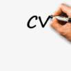 Free: Obtaining An Internship | How Show Your Projects