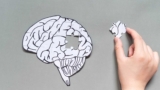 Free Personal Development Tutorial – Remembrall: Memory is Magic Improve Your Memory!