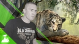 Free Procrastination Tutorial – KILL your DISTRACTION – be CRAZY ENERGIES – PROCRASTINATION