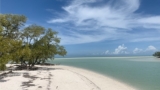 Free Tutorial – Longevity 101 — Treasure Chest