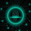 Fundamental Questions on cybersecurity