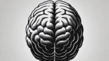 Gen AI for Financial Risk Management for Enhanced Modeling