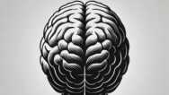 Gen AI for Financial Risk Management for Enhanced Modeling