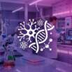 GenAI in Pharma: Accelerating Drug R&D Frameworks