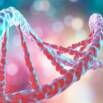 Gene Expression Analysis Science Project (step By Step)