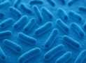 General Bacteriology: Foundations of Microbiology