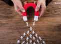Generate Organic Leads for your Business for FREE