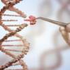 Genetic Engineering and Its Applications