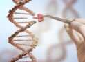 Genetic Engineering and Its Applications