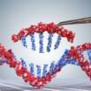 Genetic engineering using CRISPR Course