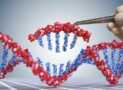 Genetic engineering using CRISPR Course