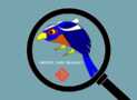 Gerrit Code Review: Project and User how-to guide