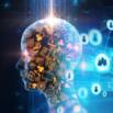 Get A Smarter Brain And A Better Life