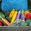 Getting Started Stocking Your Pantry For Winter