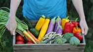 Getting Started Stocking Your Pantry For Winter