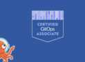GitOps Certified Associate (CGOA) Practice Exams