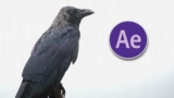 Giving Life to Still Image Using Adobe After effects