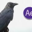 Giving Life to Still Image Using Adobe After effects