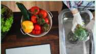 Global Food Hygiene and Safety Training Level 2