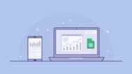 Google Sheets Fundamentals: Manage & Analyze Data
