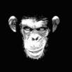 Guerrilla Hiring – Don’t Hire Monkeys to Run your Company