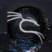 Hack Like a Pro: Kali Linux and System Vulnerabilities Quiz