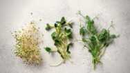 Health Benefits Of Sprouts & Microgreens
