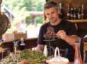 Herbalism & Herbal Medicine: From Roots to Remedies