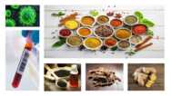 Herbs for Covid-19 : successful clinical trials on patients