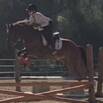 HorseBites: Jumping Mechanics II