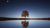 How to Be Positive in a World of Conflict