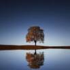 How to Be Positive in a World of Conflict