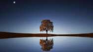 How to Be Positive in a World of Conflict