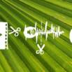 How to edit your Video and Audio for free